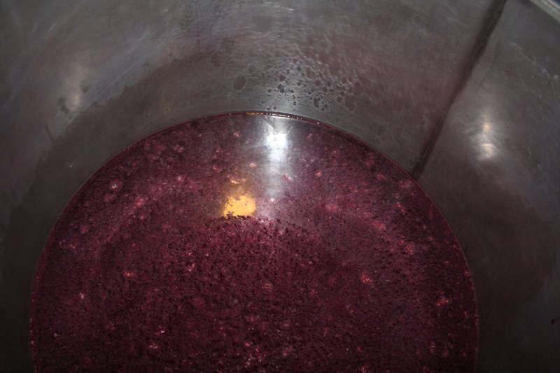 Grape vat